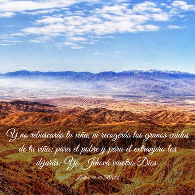 Picture 03 - Levítico 19:10 RVA - Y no rebuscarás tu viña, ni recogerás los - Bible Verse Picture