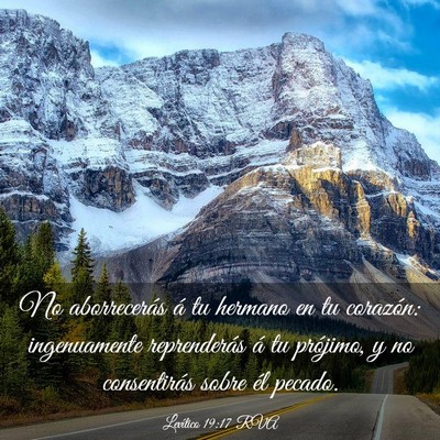 Picture 03 - Levítico 19:17 RVA - No aborrecerás á tu hermano en tu corazón: - Bible Verse Picture