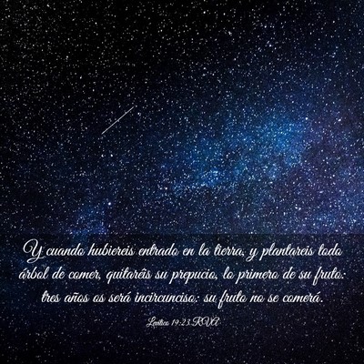 Picture 03 - Levítico 19:23 RVA - Y cuando hubiereis entrado en la tierra, y - Bible Verse Picture