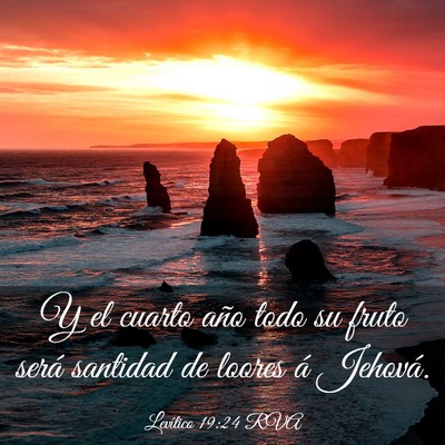 Picture 03 - Levítico 19:24 RVA - Y el cuarto año todo su fruto será santidad de - Bible Verse Picture