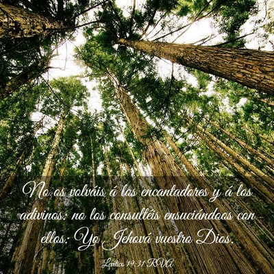 Picture 03 - Levítico 19:31 RVA - No os volváis á los encantadores y á los - Bible Verse Picture