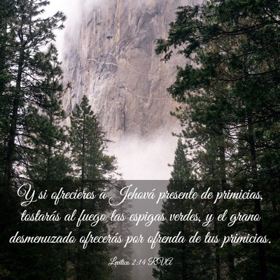 Picture 03 - Levítico 2:14 RVA - Y si ofrecieres á Jehová presente de primicias, - Bible Verse Picture