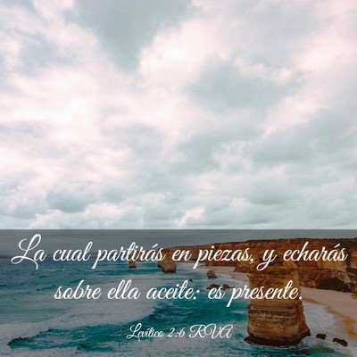 Picture 03 - Levítico 2:6 RVA - La cual partirás en piezas, y echarás sobre - Bible Verse Picture