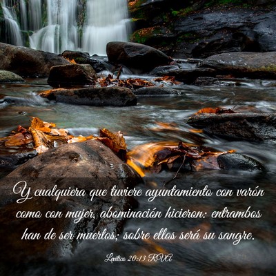 Picture 03 - Levítico 20:13 RVA - Y cualquiera que tuviere ayuntamiento con varón - Bible Verse Picture