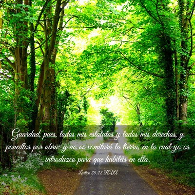 Picture 03 - Levítico 20:22 RVA - Guardad, pues, todos mis estatutos y todos mis - Bible Verse Picture