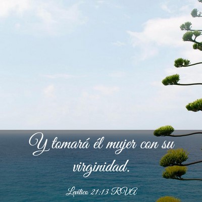 Picture 03 - Levítico 21:13 RVA - Y tomará él mujer con su - Bible Verse Picture
