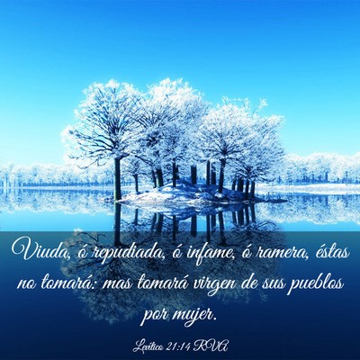 Picture 03 - Levítico 21:14 RVA - Viuda, ó repudiada, ó infame, ó ramera, éstas - Bible Verse Picture