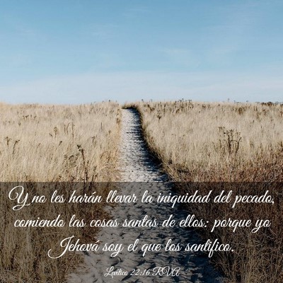 Picture 03 - Levítico 22:16 RVA - Y no les harán llevar la iniquidad del pecado, - Bible Verse Picture