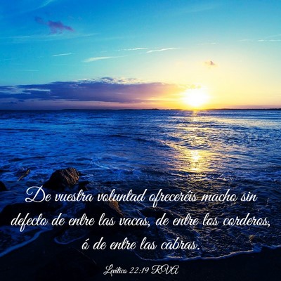 Picture 03 - Levítico 22:19 RVA - De vuestra voluntad ofreceréis macho sin defecto - Bible Verse Picture