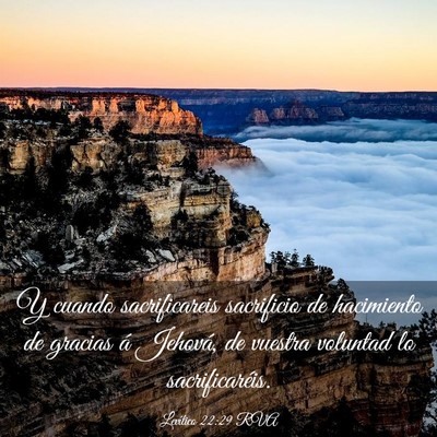 Picture 03 - Levítico 22:29 RVA - Y cuando sacrificareis sacrificio de hacimiento - Bible Verse Picture
