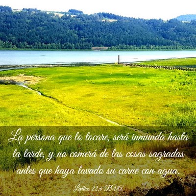 Picture 03 - Levítico 22:6 RVA - La persona que lo tocare, será inmunda hasta la - Bible Verse Picture