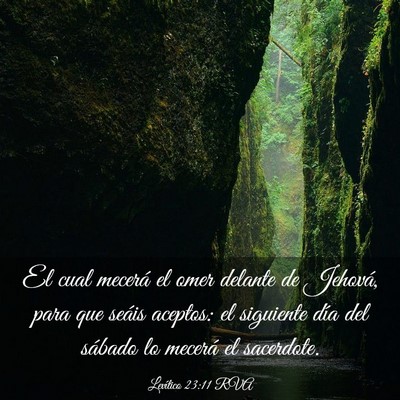 Picture 03 - Levítico 23:11 RVA - El cual mecerá el omer delante de Jehová, para - Bible Verse Picture