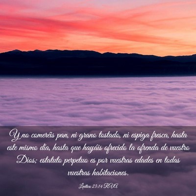 Picture 03 - Levítico 23:14 RVA - Y no comeréis pan, ni grano tostado, ni espiga - Bible Verse Picture