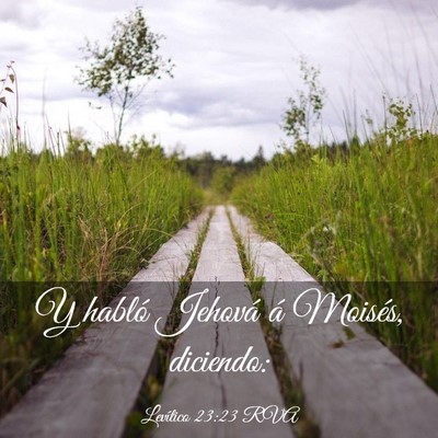 Picture 03 - Levítico 23:23 RVA - Y habló Jehová á Moisés, - Bible Verse Picture