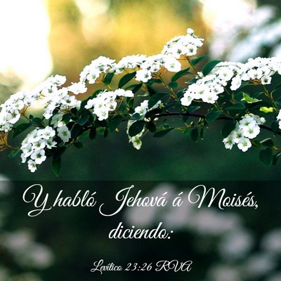 Picture 03 - Levítico 23:26 RVA - Y habló Jehová á Moisés, - Bible Verse Picture