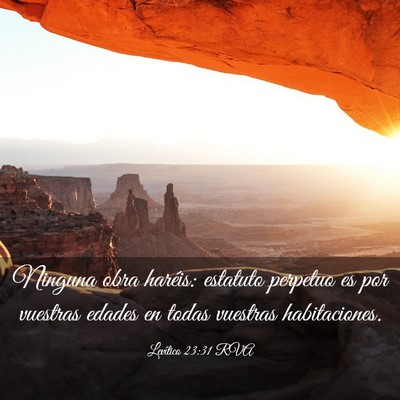 Picture 03 - Levítico 23:31 RVA - Ninguna obra haréis: estatuto perpetuo es por - Bible Verse Picture