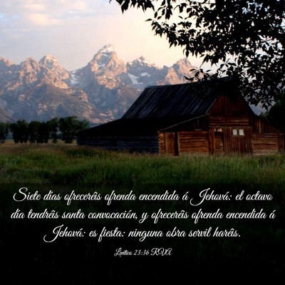 Picture 03 - Levítico 23:36 RVA - Siete días ofreceréis ofrenda encendida á - Bible Verse Picture