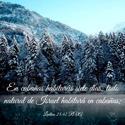 Picture 03 - Levítico 23:42 RVA - En cabañas habitaréis siete días: todo natural - Bible Verse Picture