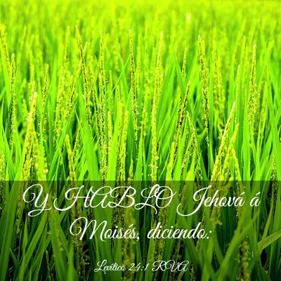 Picture 03 - Levítico 24:1 RVA - Y HABLO Jehová á Moisés, - Bible Verse Picture