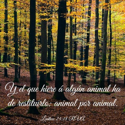 Picture 03 - Levítico 24:18 RVA - Y el que hiere á algún animal ha de - Bible Verse Picture
