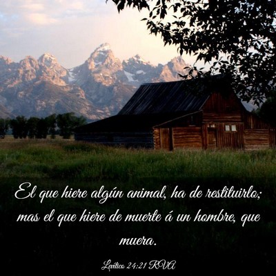 Picture 03 - Levítico 24:21 RVA - El que hiere algún animal, ha de restituirlo; - Bible Verse Picture