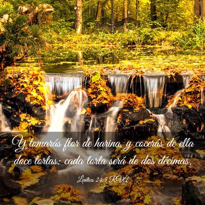 Picture 03 - Levítico 24:5 RVA - Y tomarás flor de harina, y cocerás de ella - Bible Verse Picture