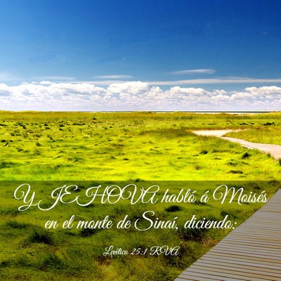 Picture 03 - Levítico 25:1 RVA - Y JEHOVA habló á Moisés en el monte de Sinaí, - Bible Verse Picture