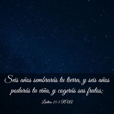 Picture 03 - Levítico 25:3 RVA - Seis años sembrarás tu tierra, y seis años - Bible Verse Picture