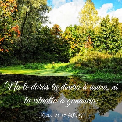 Picture 03 - Levítico 25:37 RVA - No le darás tu dinero á usura, ni tu vitualla - Bible Verse Picture