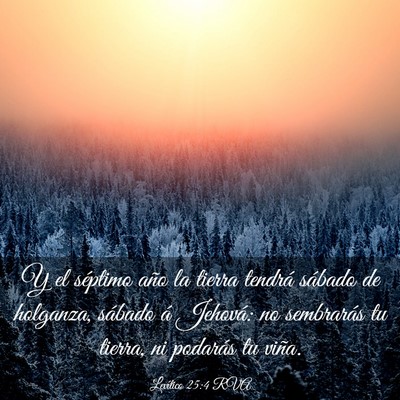 Picture 03 - Levítico 25:4 RVA - Y el séptimo año la tierra tendrá sábado de - Bible Verse Picture