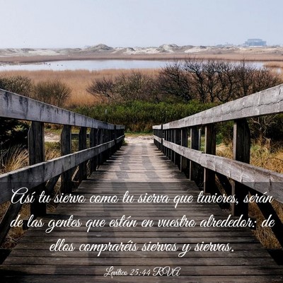 Picture 03 - Levítico 25:44 RVA - Así tu siervo como tu sierva que tuvieres, - Bible Verse Picture