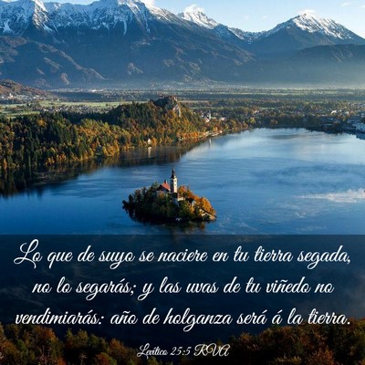 Picture 03 - Levítico 25:5 RVA - Lo que de suyo se naciere en tu tierra segada, no - Bible Verse Picture
