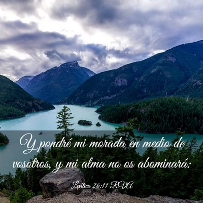 Picture 03 - Levítico 26:11 RVA - Y pondré mi morada en medio de vosotros, y mi - Bible Verse Picture