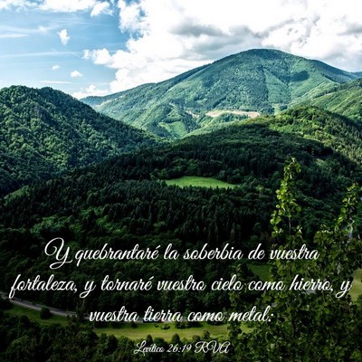 Picture 03 - Levítico 26:19 RVA - Y quebrantaré la soberbia de vuestra fortaleza, - Bible Verse Picture