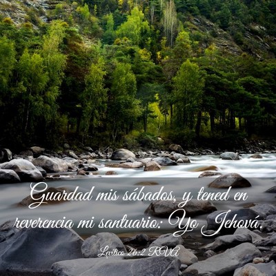 Picture 03 - Levítico 26:2 RVA - Guardad mis sábados, y tened en reverencia mi - Bible Verse Picture