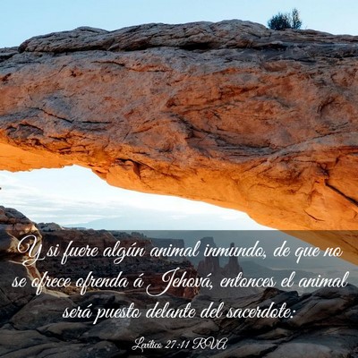 Picture 03 - Levítico 27:11 RVA - Y si fuere algún animal inmundo, de que no se - Bible Verse Picture