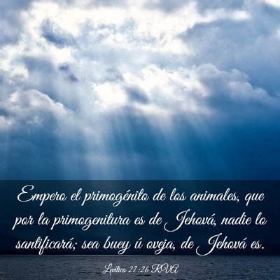 Picture 03 - Levítico 27:26 RVA - Empero el primogénito de los animales, que por - Bible Verse Picture
