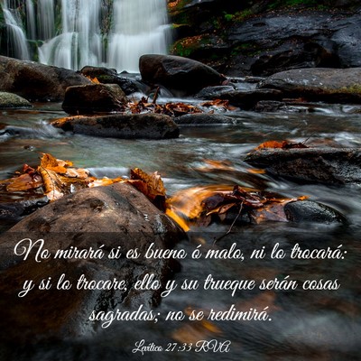 Picture 03 - Levítico 27:33 RVA - No mirará si es bueno ó malo, ni lo trocará: y - Bible Verse Picture