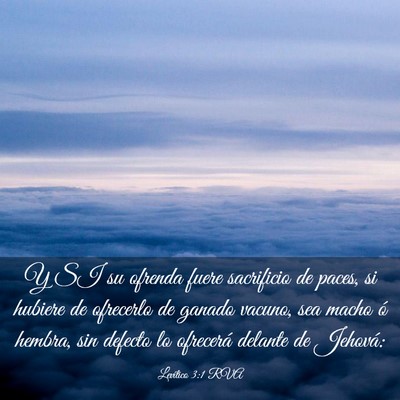 Picture 03 - Levítico 3:1 RVA - Y SI su ofrenda fuere sacrificio de paces, si - Bible Verse Picture