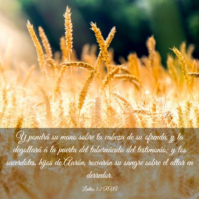 Picture 03 - Levítico 3:2 RVA - Y pondrá su mano sobre la cabeza de su ofrenda, - Bible Verse Picture