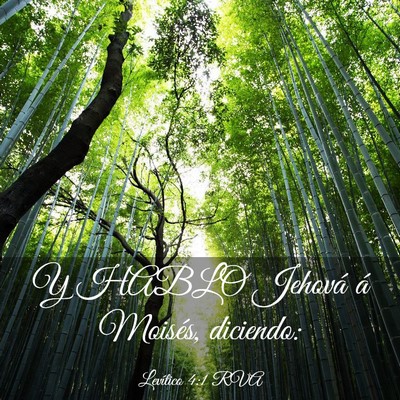 Picture 03 - Levítico 4:1 RVA - Y HABLO Jehová á Moisés, - Bible Verse Picture