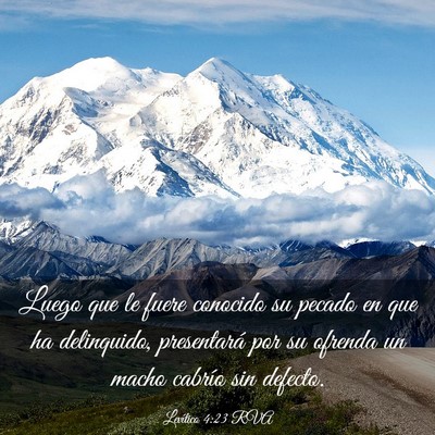 Picture 03 - Levítico 4:23 RVA - Luego que le fuere conocido su pecado en que ha - Bible Verse Picture