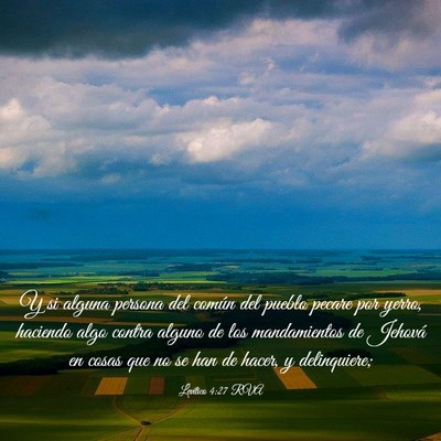 Picture 03 - Levítico 4:27 RVA - Y si alguna persona del común del pueblo pecare - Bible Verse Picture
