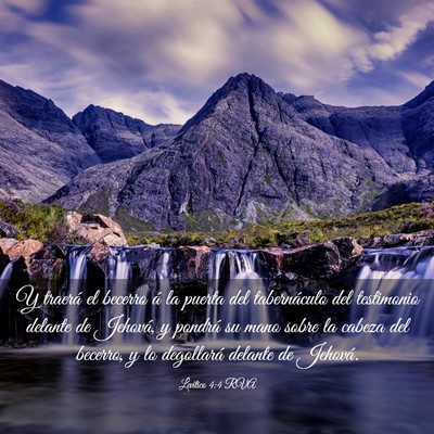 Picture 03 - Levítico 4:4 RVA - Y traerá el becerro á la puerta del - Bible Verse Picture