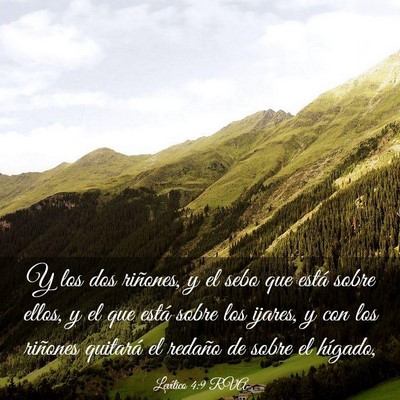 Picture 03 - Levítico 4:9 RVA - Y los dos riñones, y el sebo que está sobre - Bible Verse Picture