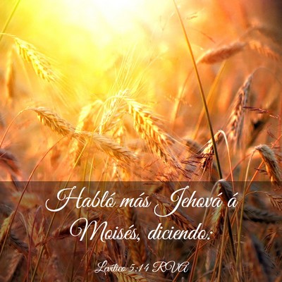 Picture 03 - Levítico 5:14 RVA - Habló más Jehová á Moisés, - Bible Verse Picture