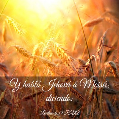 Picture 03 - Levítico 6:19 RVA - Y habló Jehová á Moisés, - Bible Verse Picture