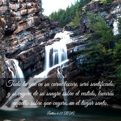 Picture 03 - Levítico 6:27 RVA - Todo lo que en su carne tocare, será - Bible Verse Picture
