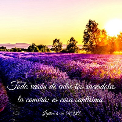 Picture 03 - Levítico 6:29 RVA - Todo varón de entre los sacerdotes la comerá: - Bible Verse Picture