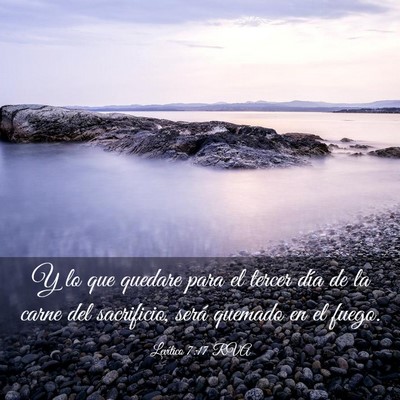 Picture 03 - Levítico 7:17 RVA - Y lo que quedare para el tercer día de la carne - Bible Verse Picture